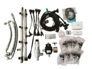 Electronic Injection EFI Mercedes M119